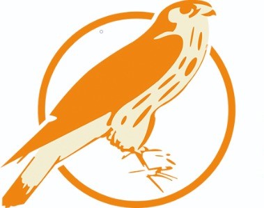 ebook