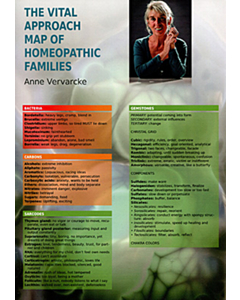 The Vital Approach Map of Homeopathic Families