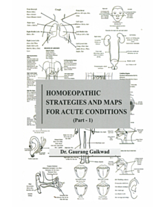Homeopathic Strategies and Maps for Acute Conditions