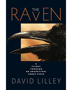  The Raven – A Flight through an Archetypal Force Field